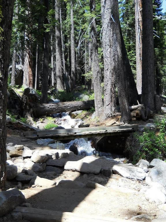 Stony Creek Lodge Sequoia National Park Екстер'єр фото
