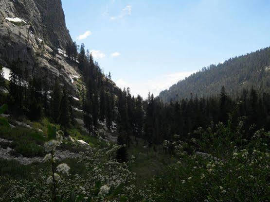 Stony Creek Lodge Sequoia National Park Екстер'єр фото