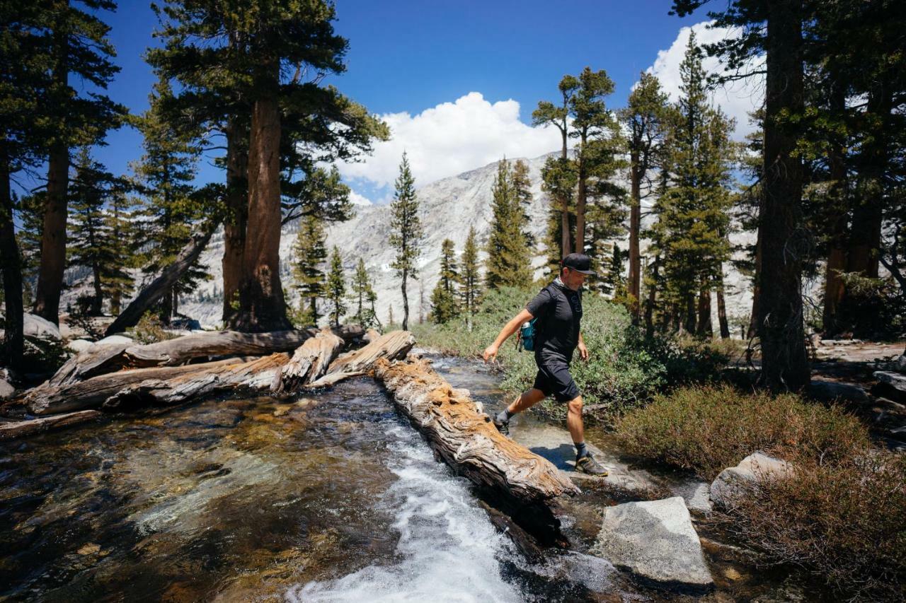 Stony Creek Lodge Sequoia National Park Екстер'єр фото